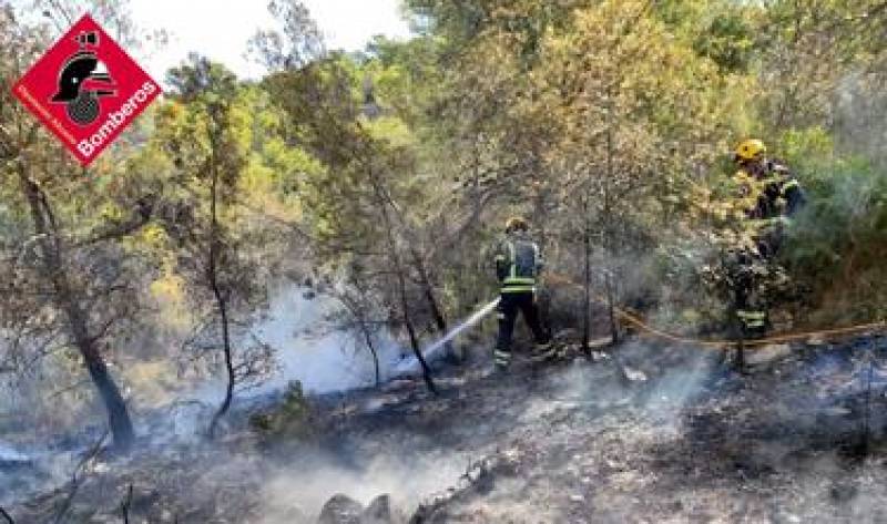 Arsonist behind fires at protected Serra Gelada natural site in Benidorm faces 4 years in prison