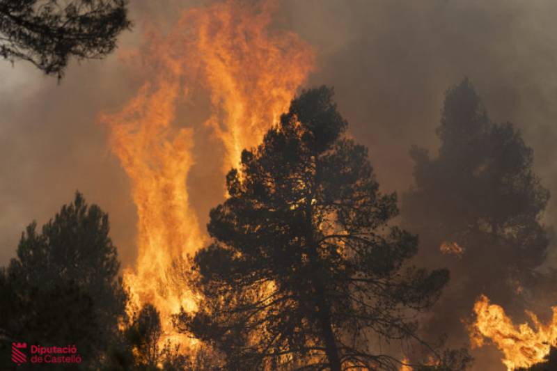 <span style='color:#780948'>ARCHIVED</span> - Valencia region on high alert for forest fires