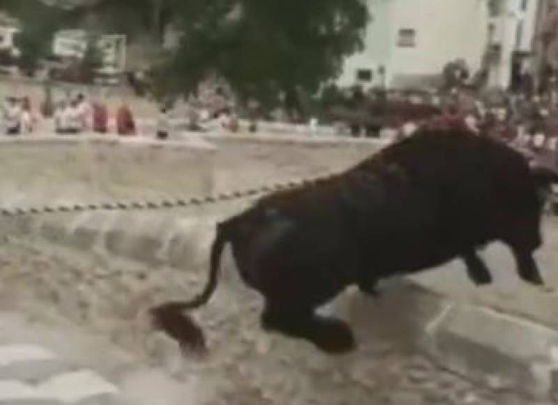 VIDEO: Cruel bull event in Spain ends with poor animal breaking its legs after jumping off 50-foot bridge