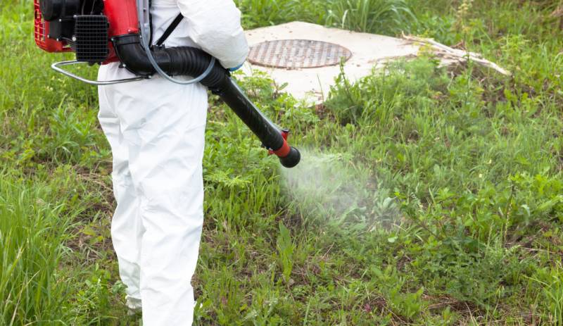 Teulada Moraira ramps up rat and other pest control services throughout June