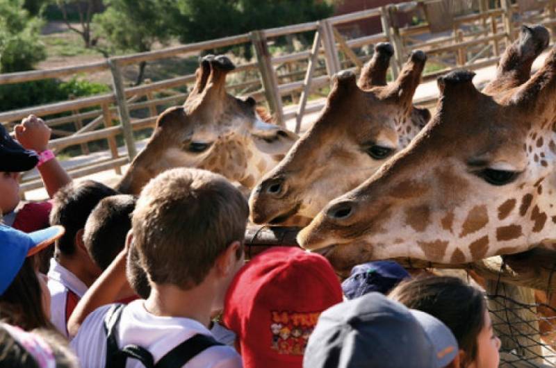 Six great family days out in the Region of Murcia this summer!