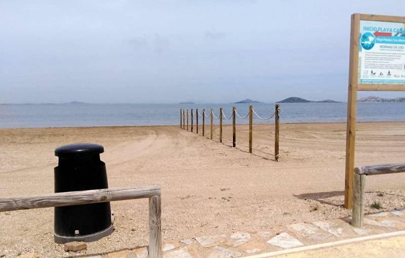 Cartagena prepares dog-friendly beaches for the summer of 2023