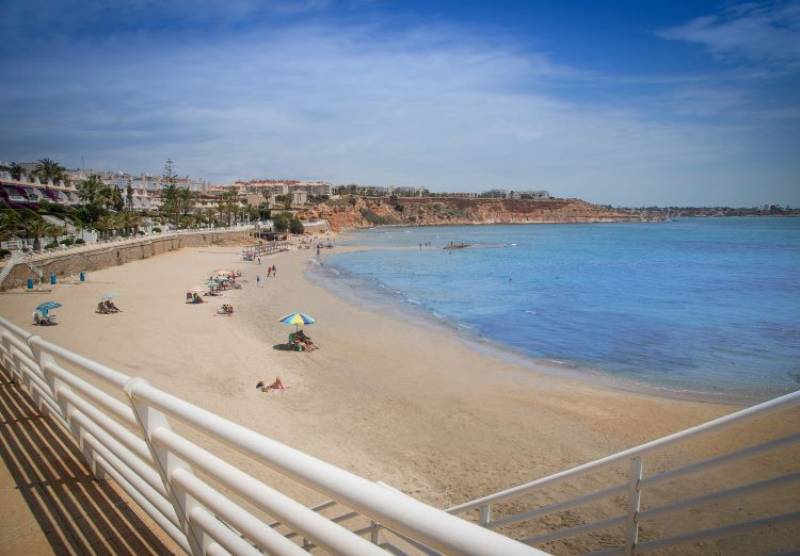 Police evacuate beach in Campoamor after shark sighting