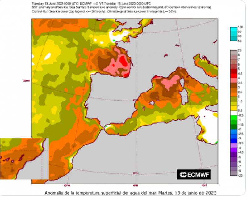Coastal waters in Spain stew in abnormally high temperatures
