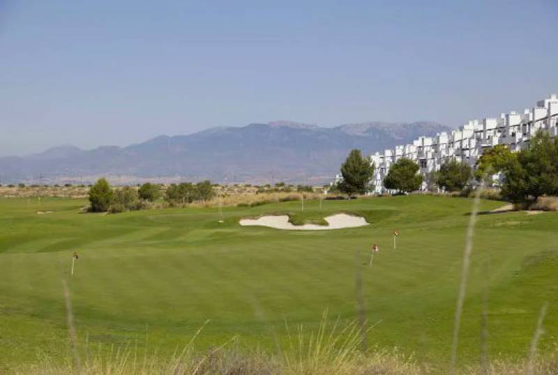 Water authority postpones permits for twenty new golf projects in Murcia, Alicante and Almeria until at least 2039