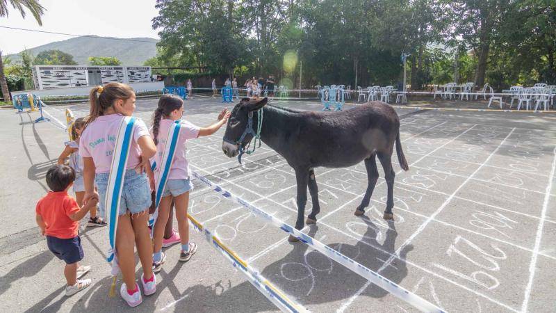 Tourists delighted and disgusted in equal measure by Benidorm donkey poo lottery festival