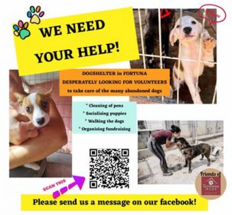 Fortuna dog shelter desperately seeking volunteers