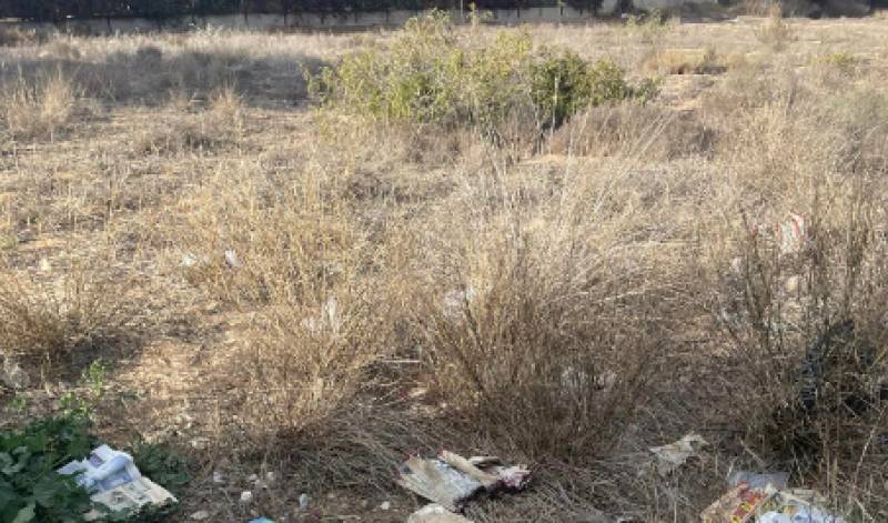 Orihuela Costa residents forced to clear green areas themselves as council continues to slack off