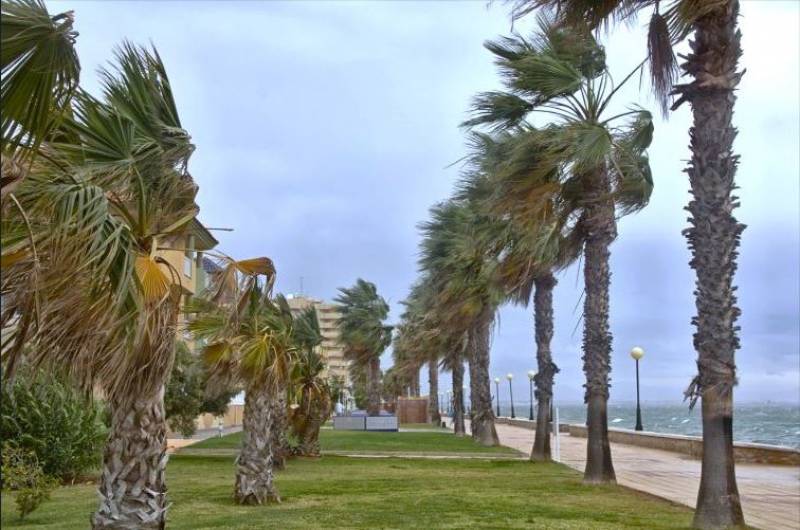Strong gusts possible as temperatures drop: Alicante weather forecast April 8-11