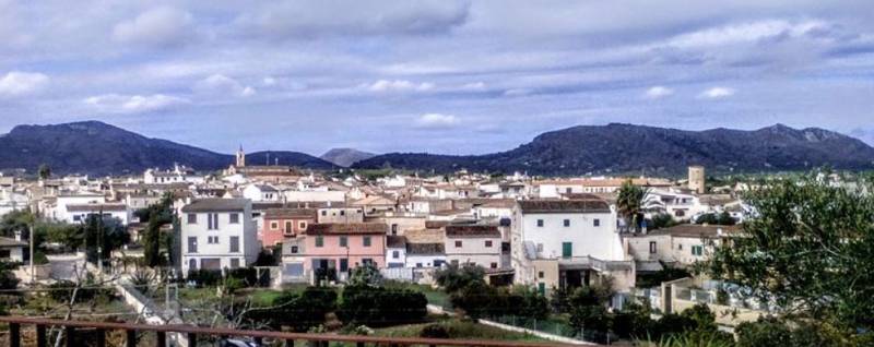 Spanish bar manager held over rape of British tourist in Mallorca