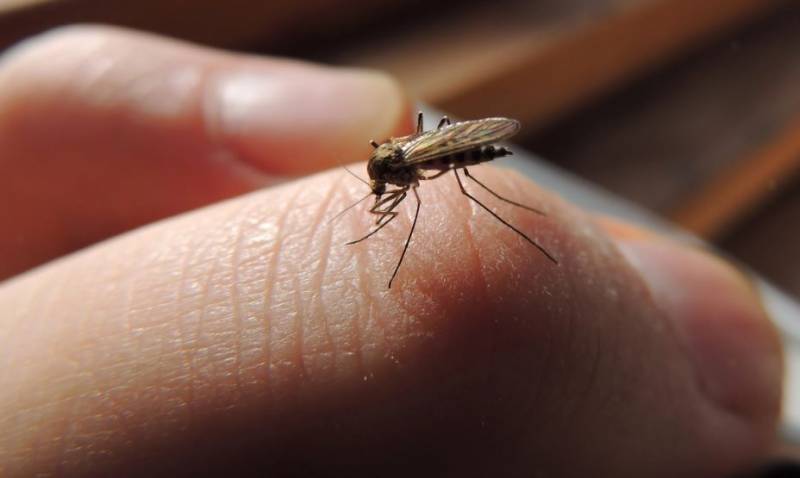This is when mosquito spraying will be happening on Mar Menor Golf Resort this July