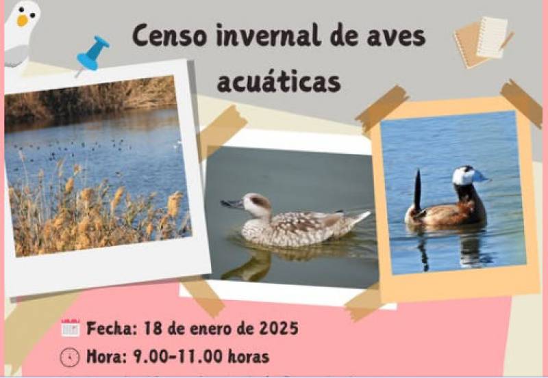 January 18 Take part in this water bird census in the Mazarron wetlands of Las Moreras