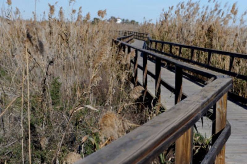 Los Alcázares beaches: Playa de Las Salinas