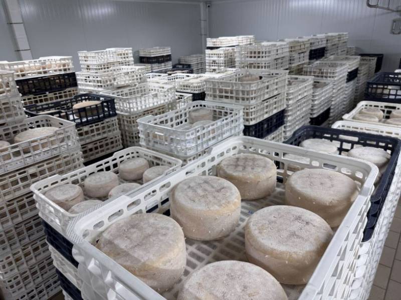 San Javier cheese factory awarded artisan company status