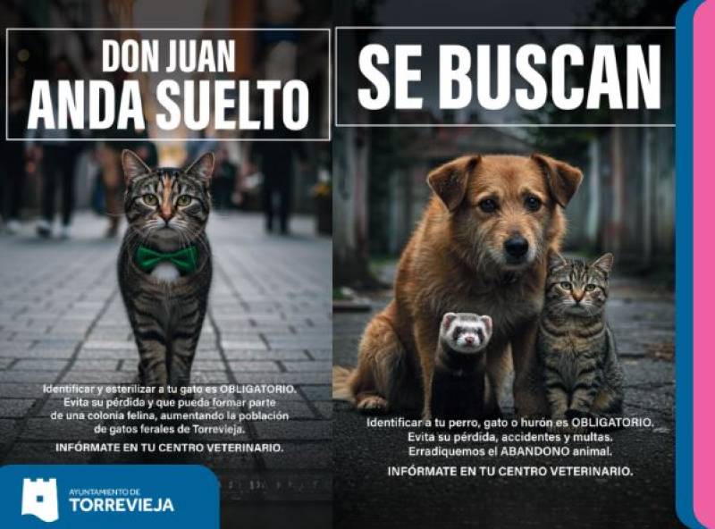 Torrevieja launches citywide campaign to promote pet identification