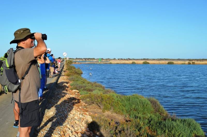 June 8 Free bird-spotting walk in the salt flats of San Pedro del Pinatar