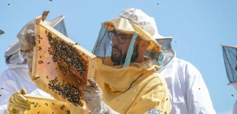 June 16 Honey, oil and wine tasting trip to Guatazales with pickup from La Torre Golf Resort
