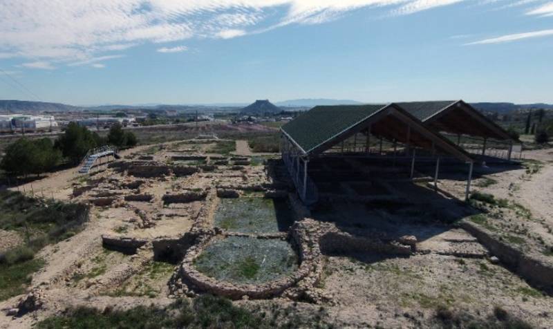 August 23 Guided tour of the Roman villa of Los Villaricos in Mula