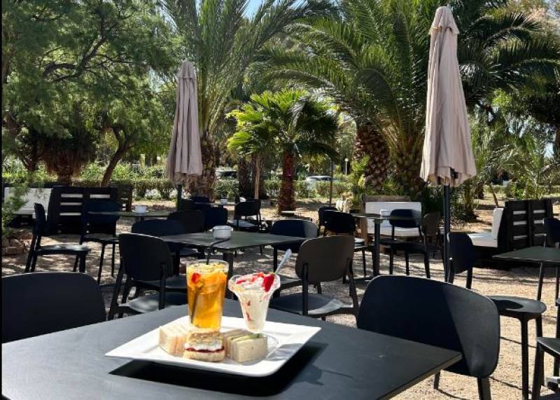 La Palmera Bar and Grill: Authentic flavours in the heart of Estrella de Mar