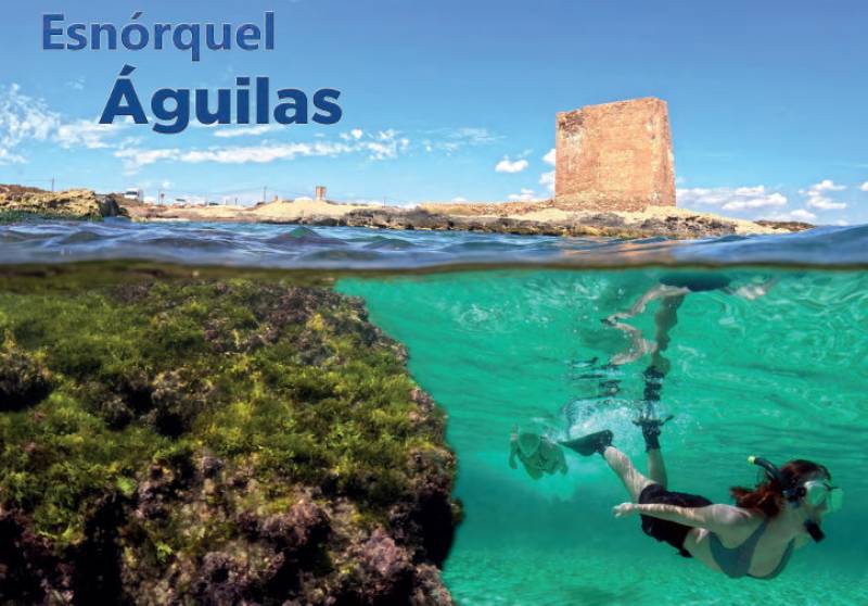 Águilas presents suggested snorkelling routes at 13 beach locations