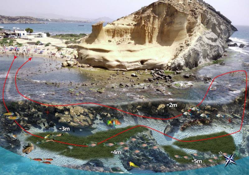 Águilas presents suggested snorkelling routes at 13 beach locations