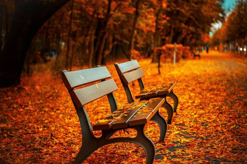 Murcia faces a holiday drought this autumn - but there’s still plenty to do