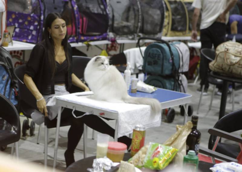November 8 and 9 Dog Show and Pet Fair at the at the IFEPA exhibition centre in Torre Pacheco
