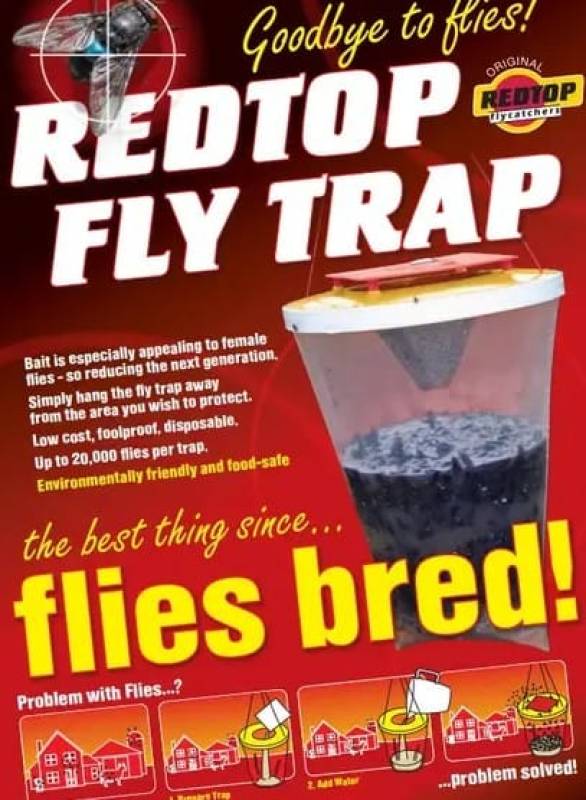 Great choices, great prices at TJ Electricals and Euronics Camposol