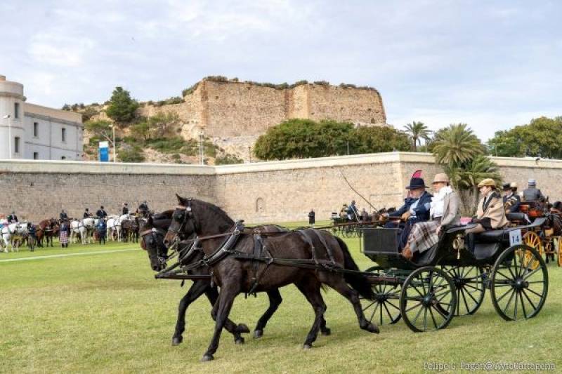 November 7 to 9 Spanish carriage driving cup in Lorca