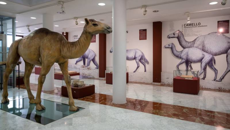 10 reasons to visit Jumilla in northern Murcia