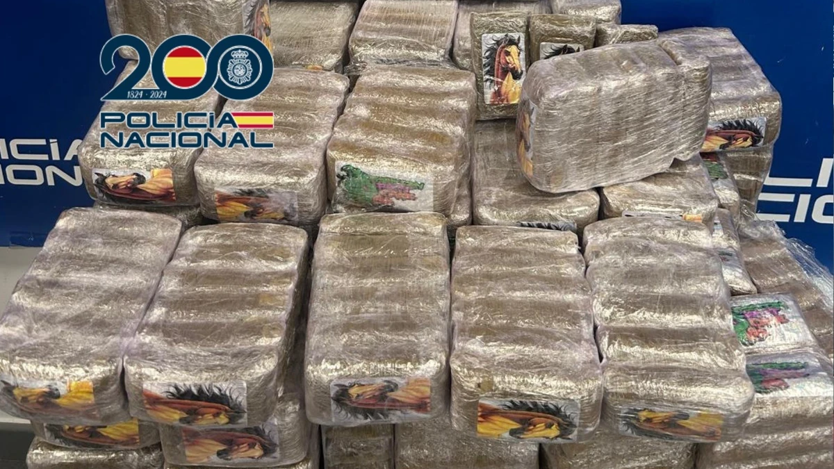 Shots fired in Mijas: One injured and 75 kilos of hashish seized