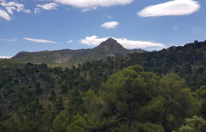 March 15 A spectacular guided hike from the Mojón de las Cuatro Caras to the Cueva de la Excomunión near Fortuna and Blanca