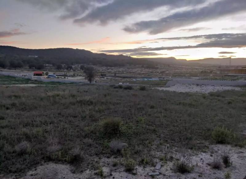 Spanish News Today Editors Roundup Weekly Bulletin April 17