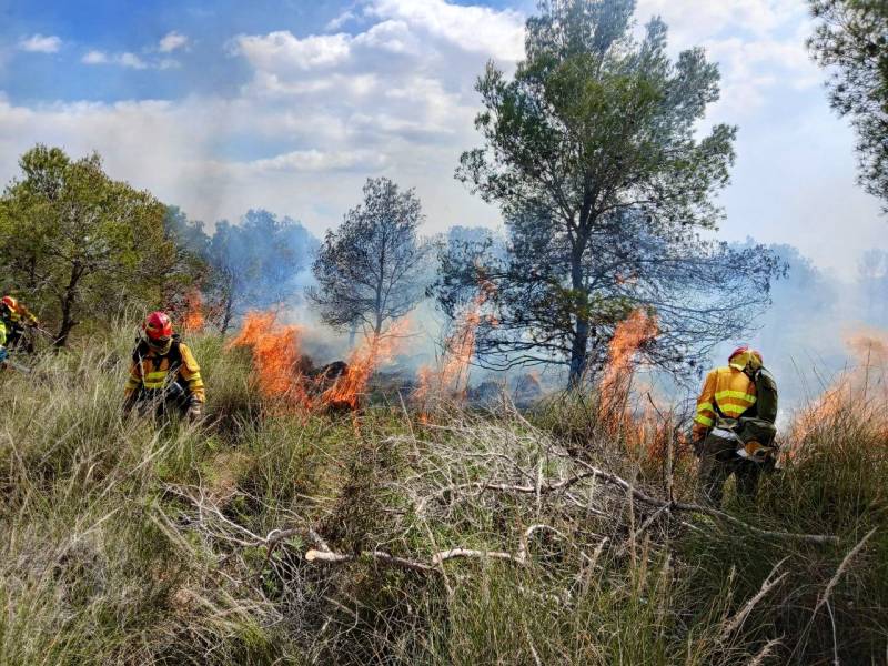 Murcia forest firefighters threaten strike ahead of peak fire season