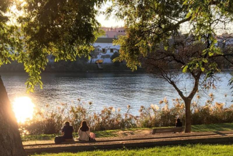 The Guadalquivir looks fine. Scientists say something is quietly going wrong beneath the surface