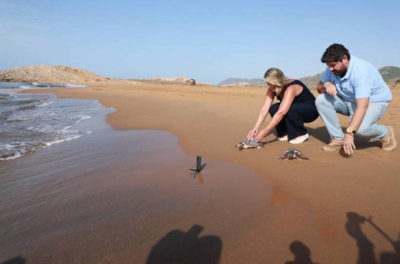 Lorca beaches protect loggerhead turtle nesting sites