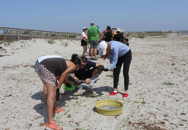 Volunteers clear more than a tonne of litter from Region of Murcia's natural areas