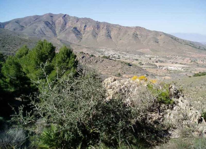 September 20 Free guided hike in the Sierra del Algarrobo in Mazarrón