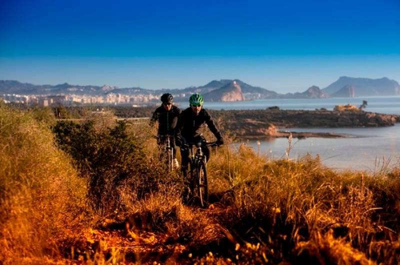 What's on in Águilas November 2026