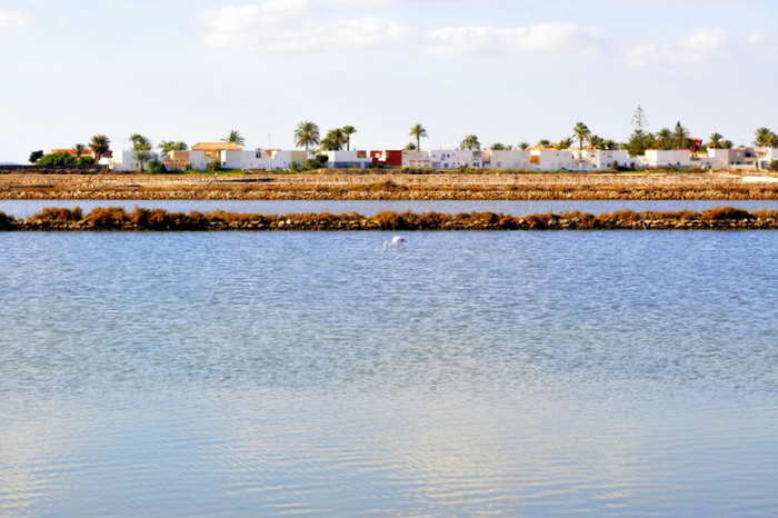 Marchamalo and Amoladeras nature reserves in Cabo de Palos