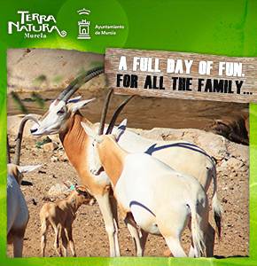 Terra Natura Oryx
