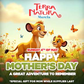 Terra Natura Mother's Day